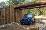 Mercedes-Benz G350 d 2019 года (WW)